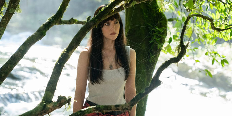 Cassie stands in front of a spider web in the forest in Madame Web