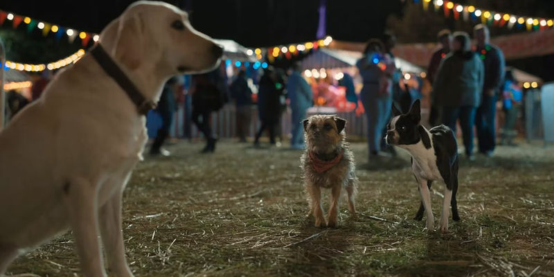 Reggie Bug and Gus in Strays