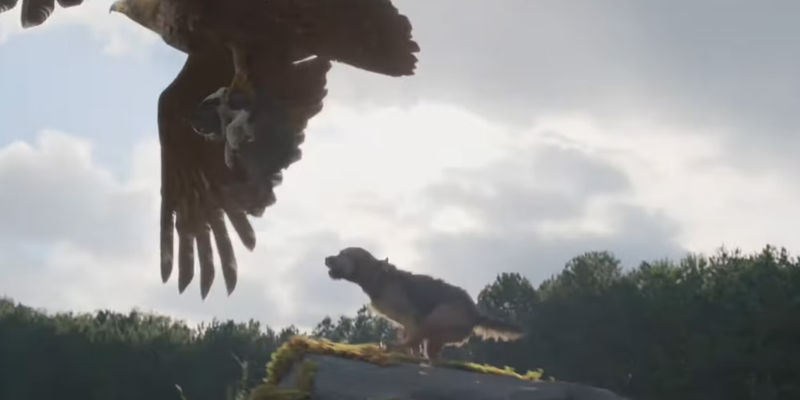 Reggie jumping to save Bug from the hawk in Strays