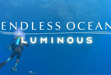 Discover the Depths: A New Adventure Awaits in the Underwater Realm