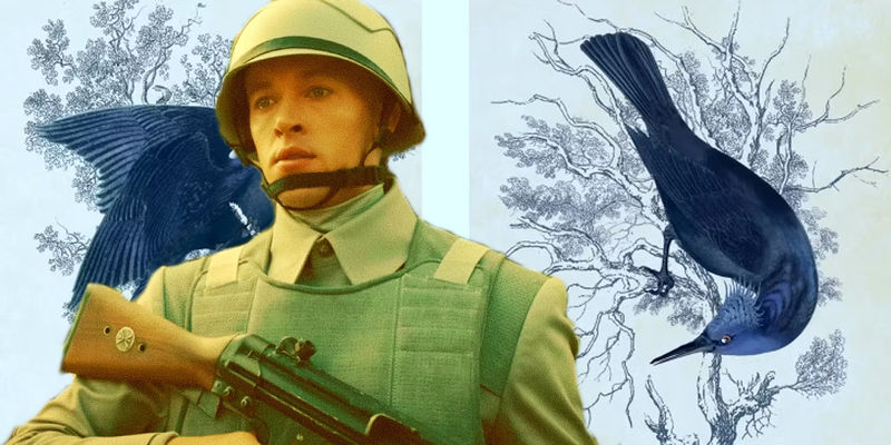 Exploring the Enigmatic Jabberjay and Mockingjay