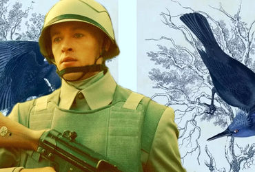 Exploring the Enigmatic Jabberjay and Mockingjay