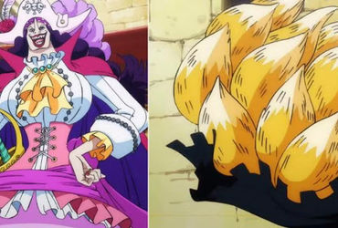 One Piece: The Shapeshifting Secrets of Caterina Devon