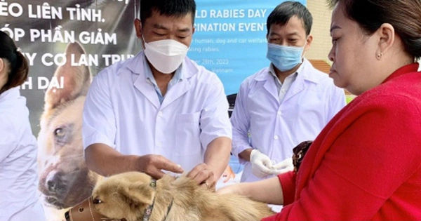 Câu chuyện đau lòng về vụ việc học sinh tử vong sau 2 tháng bị chó cắn