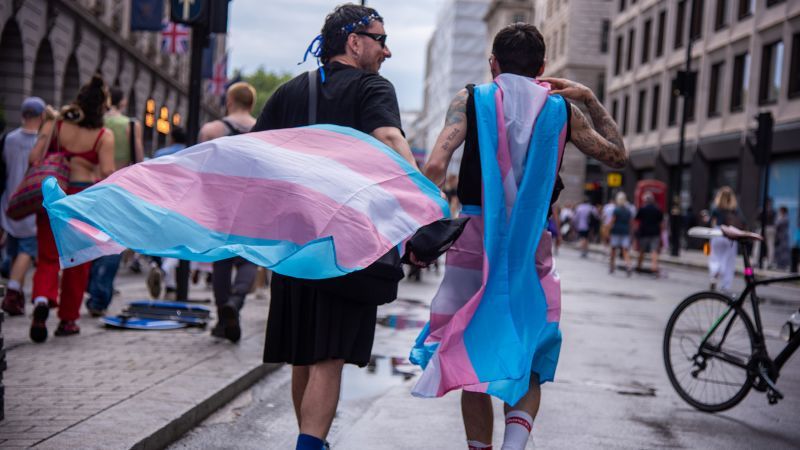 Revisiting Clinical Guidelines for Gender-Affirming Care: A Comprehensive Review