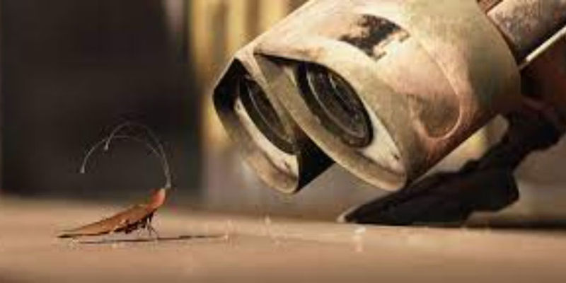 Wall-E looking at a cockroach - They Would not Survive the Radiation - Cockroaches Can Survive A Nuclear Blast