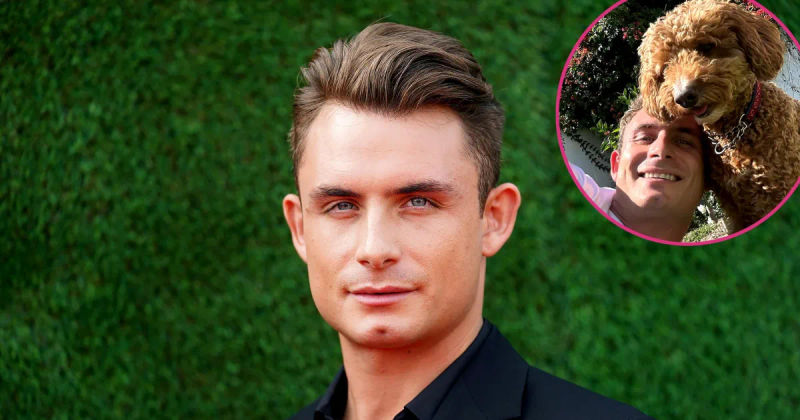 Debunking the VPR Fan Conspiracy Surrounding James Kennedy and Dog Graham's Reunion