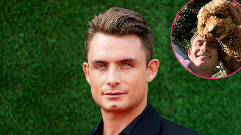 Debunking the VPR Fan Conspiracy Surrounding James Kennedy and Dog Graham's Reunion