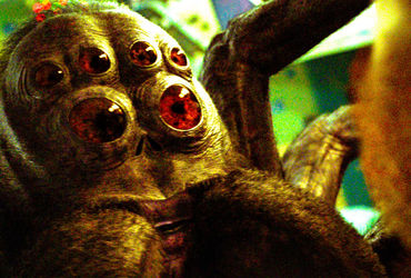 Unraveling the Mystery of Hanuš The Spider in Spaceman