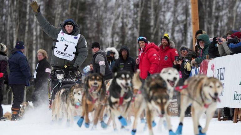 Iditarod Racer Penalized for Inadequate Moose Gutting in 'Self-Defense' Incident