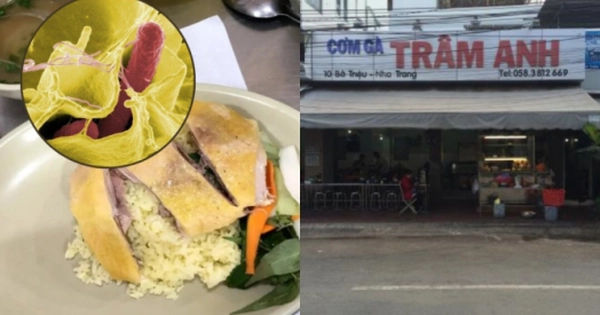 Nguy hiểm của Vi khuẩn Salmonella trong thực phẩm