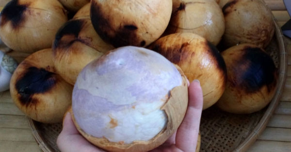 Những Lợi Ích Đáng Ngạc Nhiên của Nước Dừa