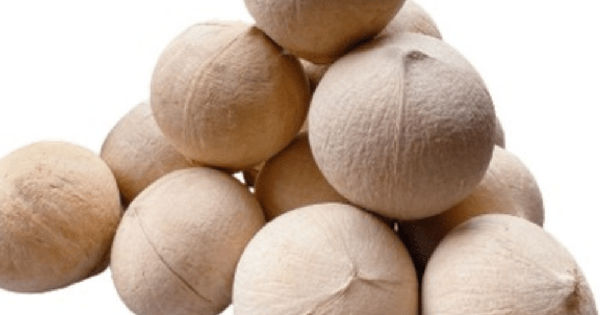 Bí Mật Về Quả "Quốc Dân" Giúp Chữa Bệnh Hiệu Quả