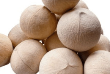 Bí Mật Về Quả "Quốc Dân" Giúp Chữa Bệnh Hiệu Quả