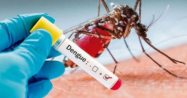 Hồi chuông cảnh báo: Sốt xuất huyết đe dọa cộng đồng tại Đồng Nai