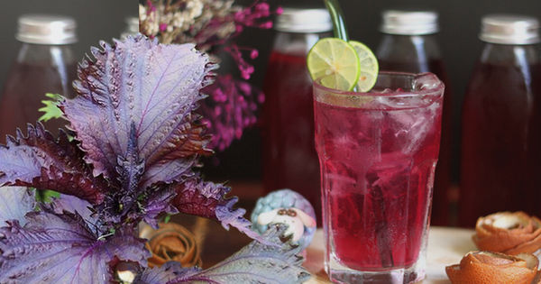 Lá Tía Tô - Bí Mật Chống Nắng Tự Nhiên Cho Làn Da Sáng Mịn