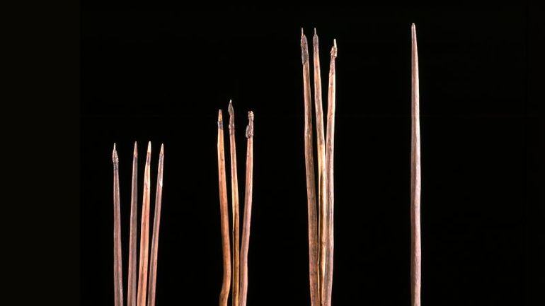 Historic Return of Aboriginal Spears to Australia Marks a Significant Milestone