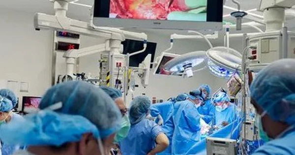 Sự Phi Thường của Y Học: Khi Thận Lợn và Tim Nhân Tạo Kết Hợp