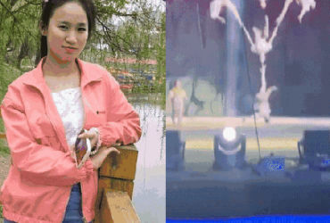 Biểu diễn xiếc kinh hoàng: Câu chuyện đau lòng từ Thành phố xiếc Linh Linh