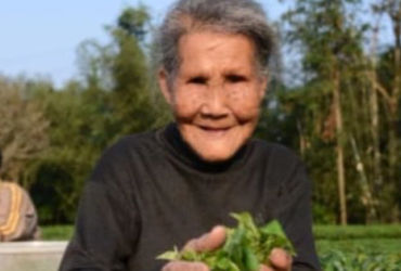 Bí Quyết Sống Khỏe Mạnh và Trường Thọ của Cụ Bà Hồ Nguyệt Anh