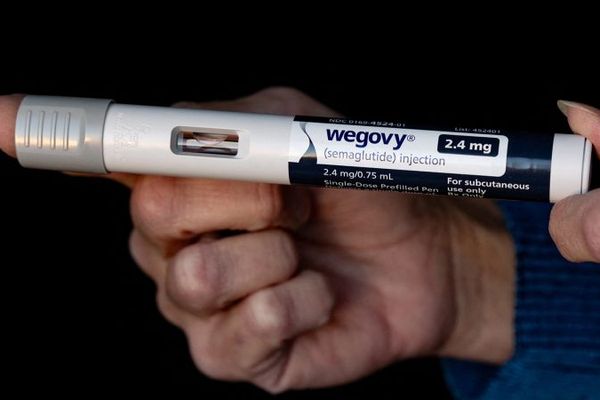 Wegovys Promise A Revolution In Weight Loss And Food Production - 8u4at2i