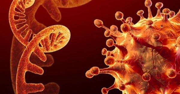 Hướng dẫn tiêm vaccine phòng COVID-19: Chiến lược mới cho tình hình khó lường