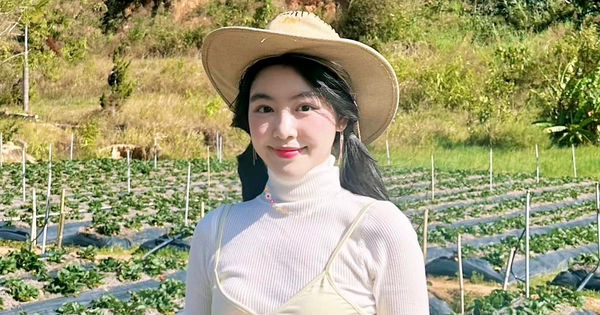 Bí ẩn về sự lôi cuốn của ca khúc Biển Tình trên TikTok