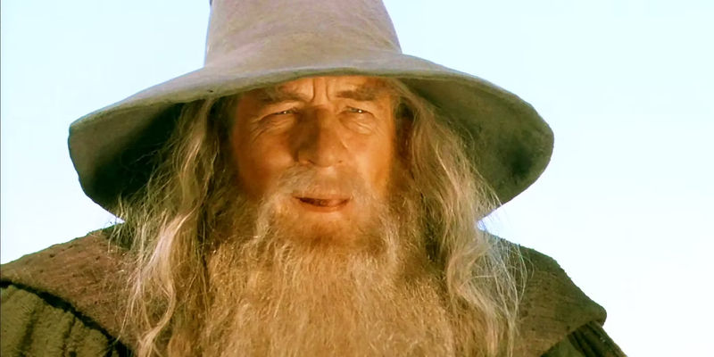 Ian McKellen as Gandalf in The Lord of the Rings: The Fellowship of the Ring.