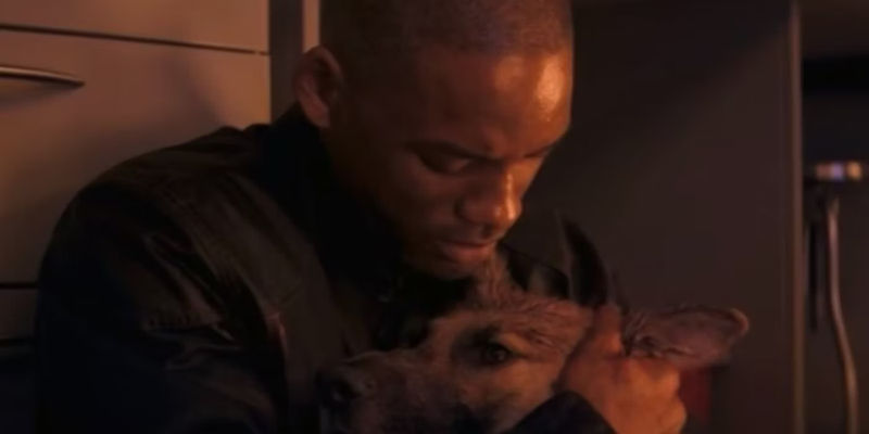 I Am Legend Dog Death