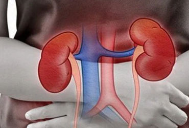 2 cách chăm sóc thận hiệu quả mà người Việt nên nhớ