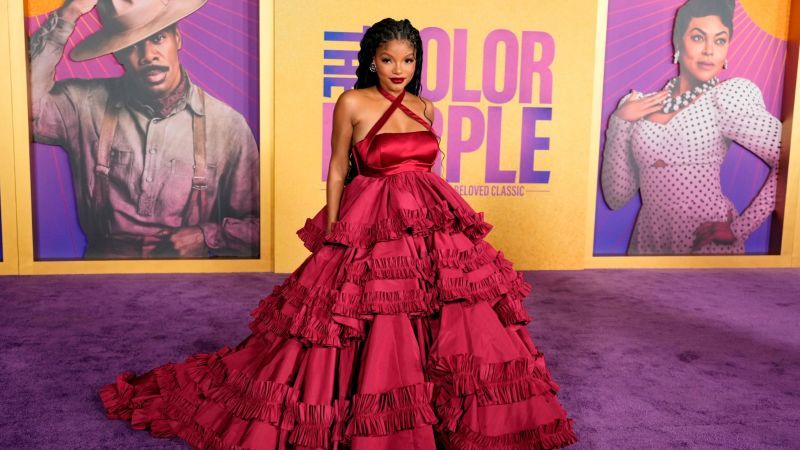 Halle Bailey Celebrates the Arrival of Her Son with Partner DDG
