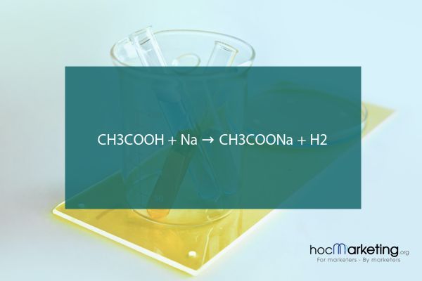 CH3COOH + Na → CH3COONa + H2