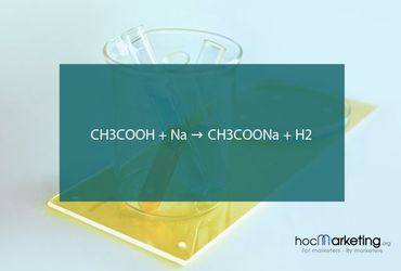 CH3COOH + Na → CH3COONa + H2