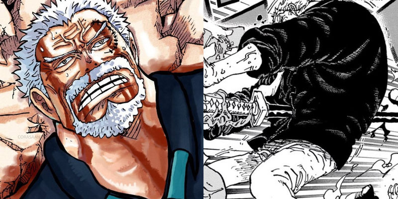 One Piece Confirms Law's Tragic Fate