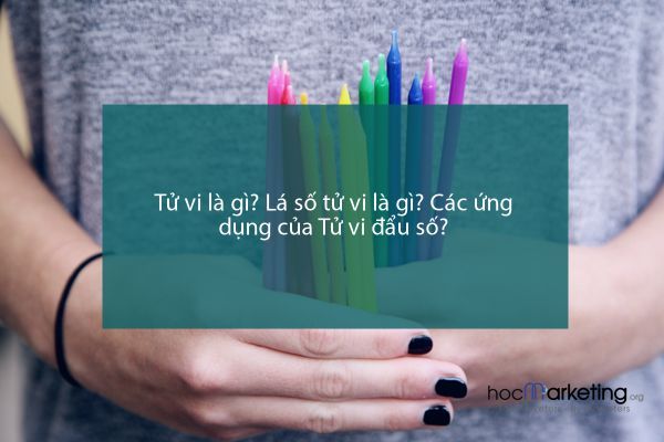 Tử vi là gì? Lá số tử vi là gì? Các ứng dụng của Tử vi đẩu số?