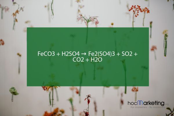 FeCO3 + H2SO4 → Fe2(SO4)3 + SO2 + CO2 + H2O
