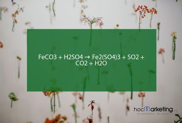 FeCO3 + H2SO4 → Fe2(SO4)3 + SO2 + CO2 + H2O