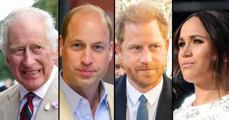 Inside the Unbreakable Bond between King Charles and Prince William: Their United Front Against Harry and Meghan