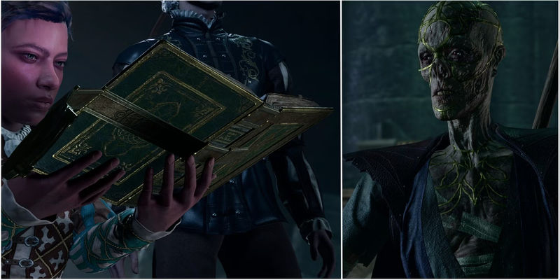 Baldur's Gate 3: Ultimate Treasure Guide - Unveiling the Secrets of the Enigmatic Overgrown Ruins!