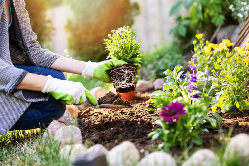 August Gardening Guide: Top Vegetables and Flowers to Plant for a Bountiful Harvest!