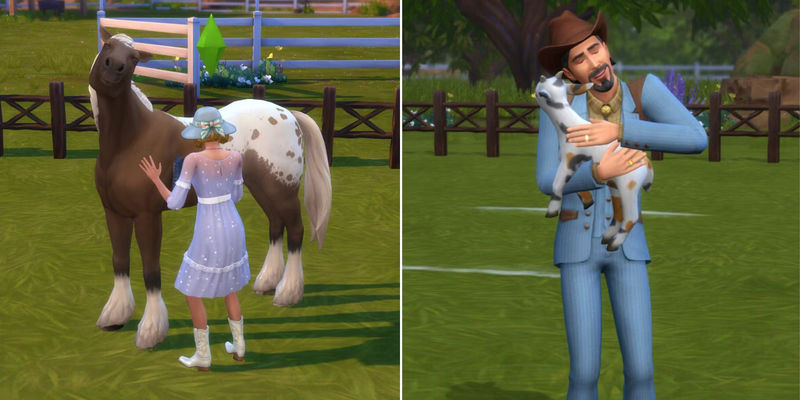 The Ultimate Guide to Hosting the Most Spectacular Ranch Animal Day in The Sims 4: Horse Ranch