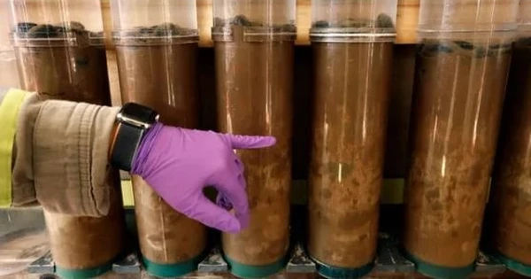 Khám phá 'Kho báu' vô cùng giá trị 4000m dưới đáy biển: Lý thú về cuộc đua pin xe điện chưa được khai thác