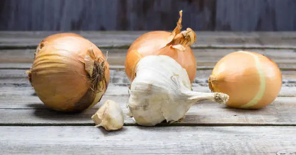 5 thực phẩm tốt cho đường ruột: Chuyên gia chia sẻ bí quyết vừa đủ, không nên lạm dụng