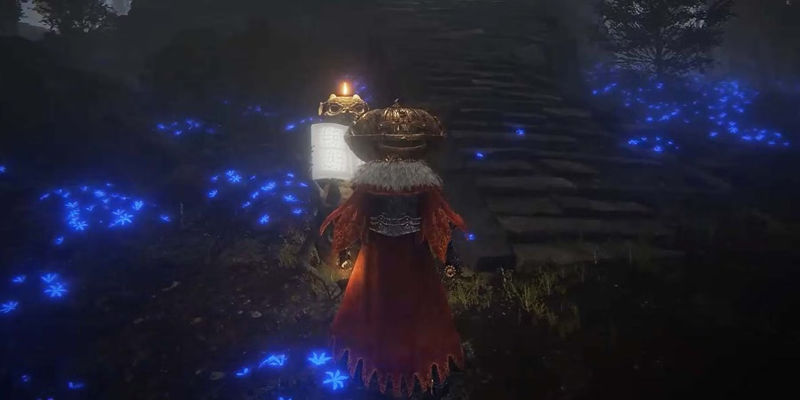 Unleashing the Power: Unveiling the Hidden Locations of the Wise Beasts in Elden Ring's Testu's Rise