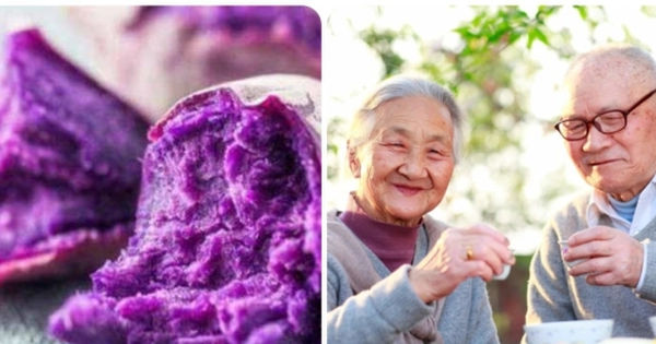 Củ màu tím thần kỳ: Giải bách bệnh, kéo dài tuổi thọ cho người Việt