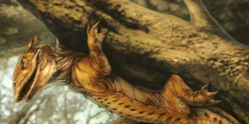 The Most Unexpected Star Wars Creatures Capable of Thwarting the Force