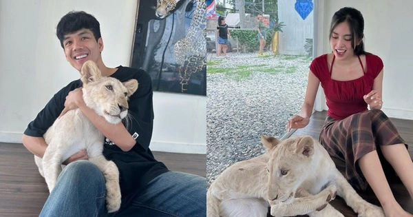 Bí mật người yêu thực sự của hoa hậu Tiểu Vy khiến người đọc không thể ngờ tới