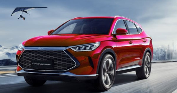 Thị trường sôi động nhất của hãng xe điện Trung Quốc: 100 showroom sắp ra mắt vào cuối năm!