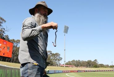 Terrifying Encounter: AFLW Game in Australia Halted by Venomous Snake on Field!