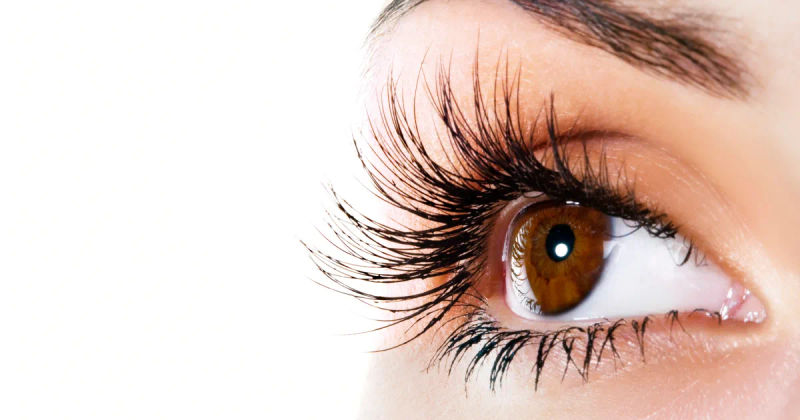 The $6 Mascara That Outperforms High-End Brands - A Must-Try!